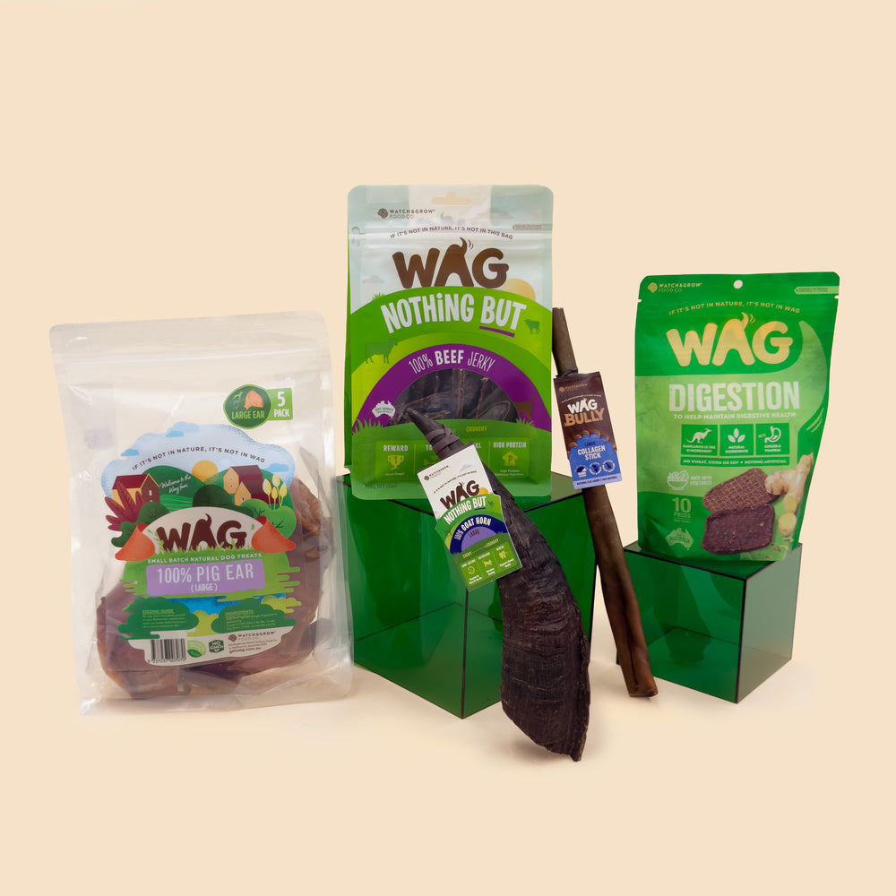 Head Over Paws, Always