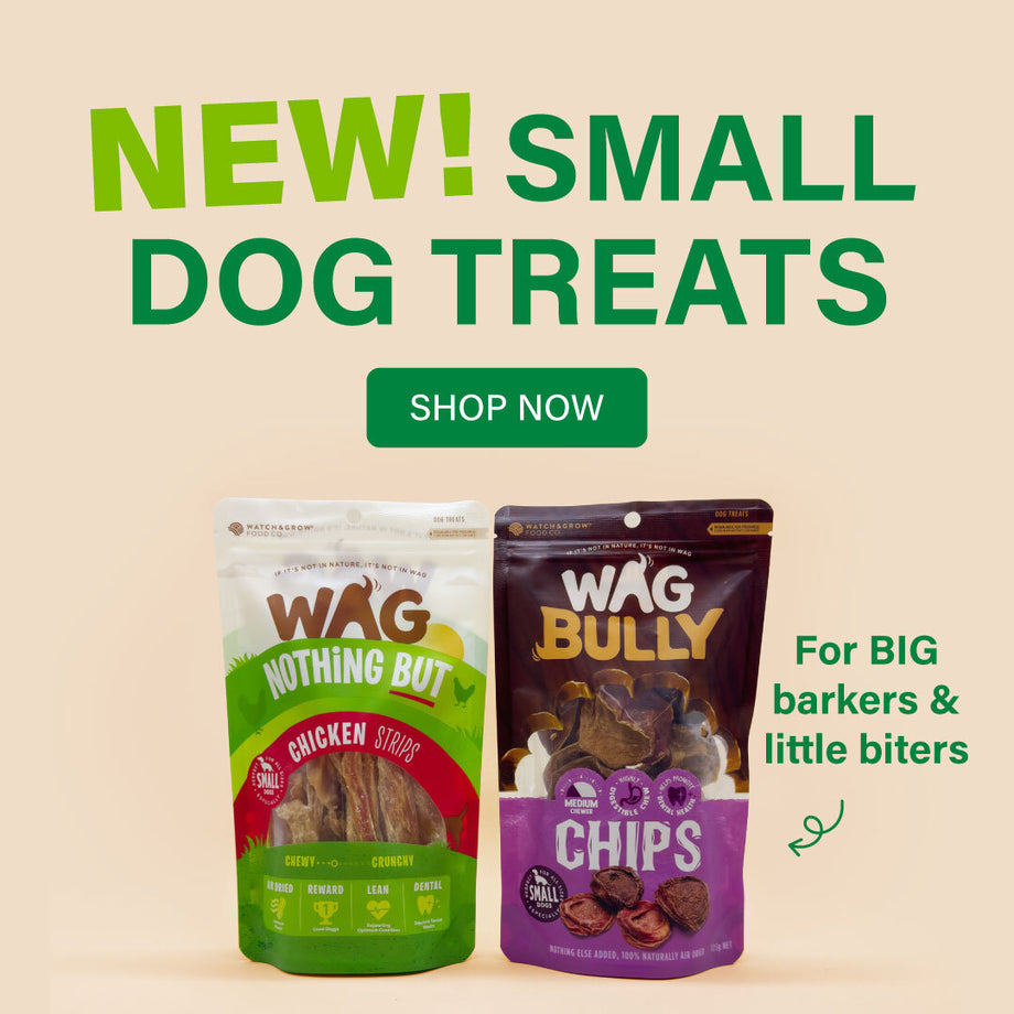 Small Dog Treats