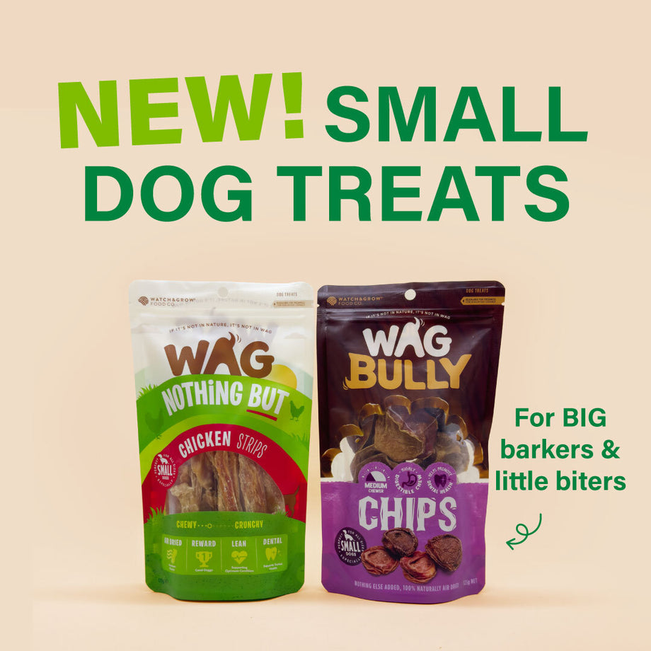 Small Dog Treats