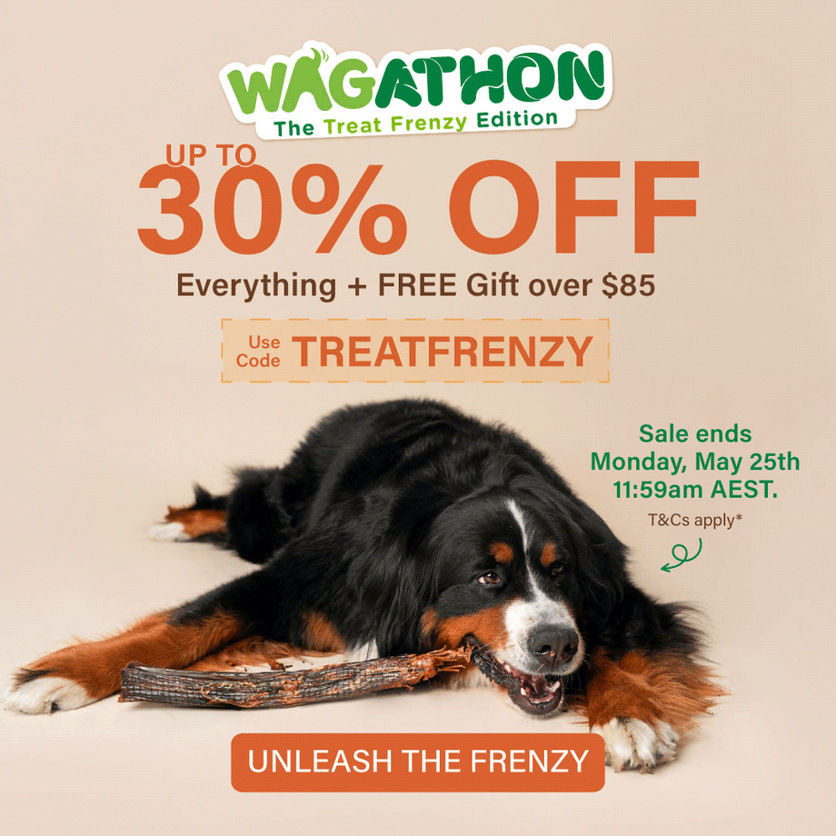 Treat Frenzy Sale: Up to 30% OFF All WAG Dog Treats and Chews