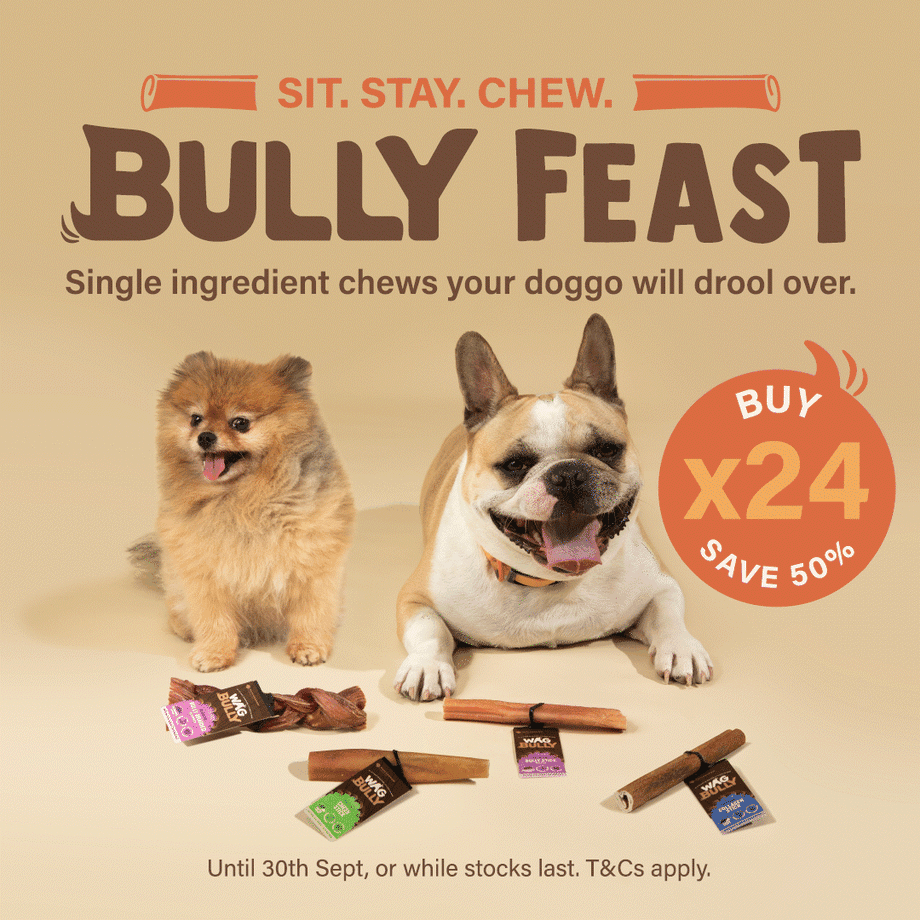 Bully Feast: buy 24, save 50%
