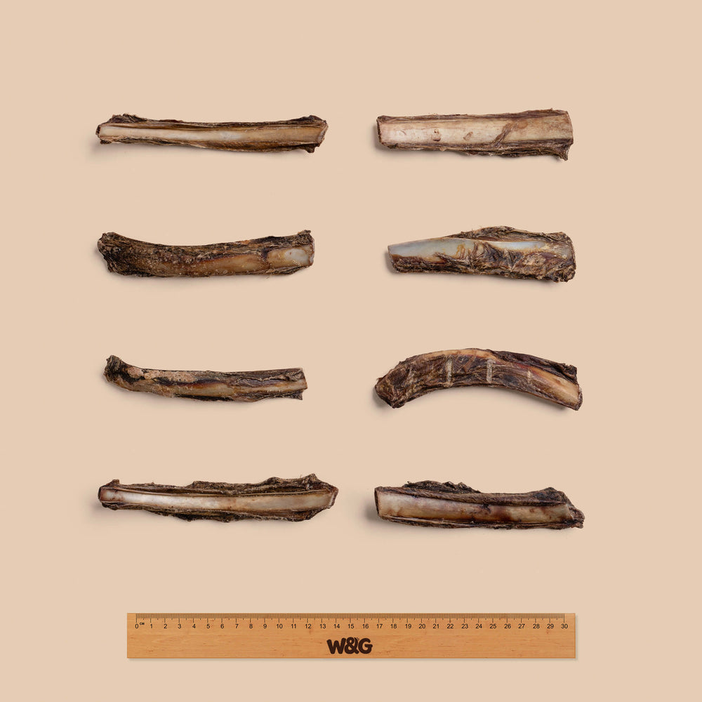 Venison ribs size reference