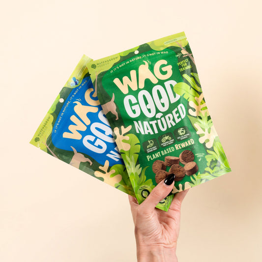 Eco Bites Duo
