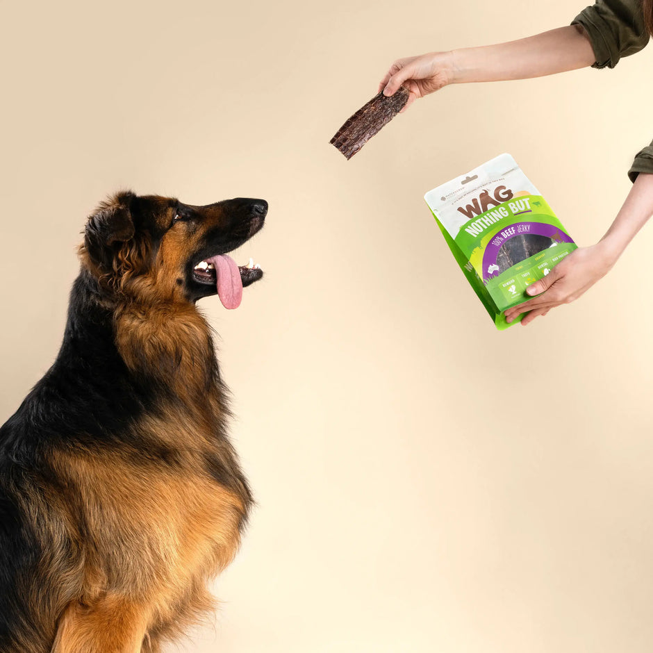 Beef Jerky