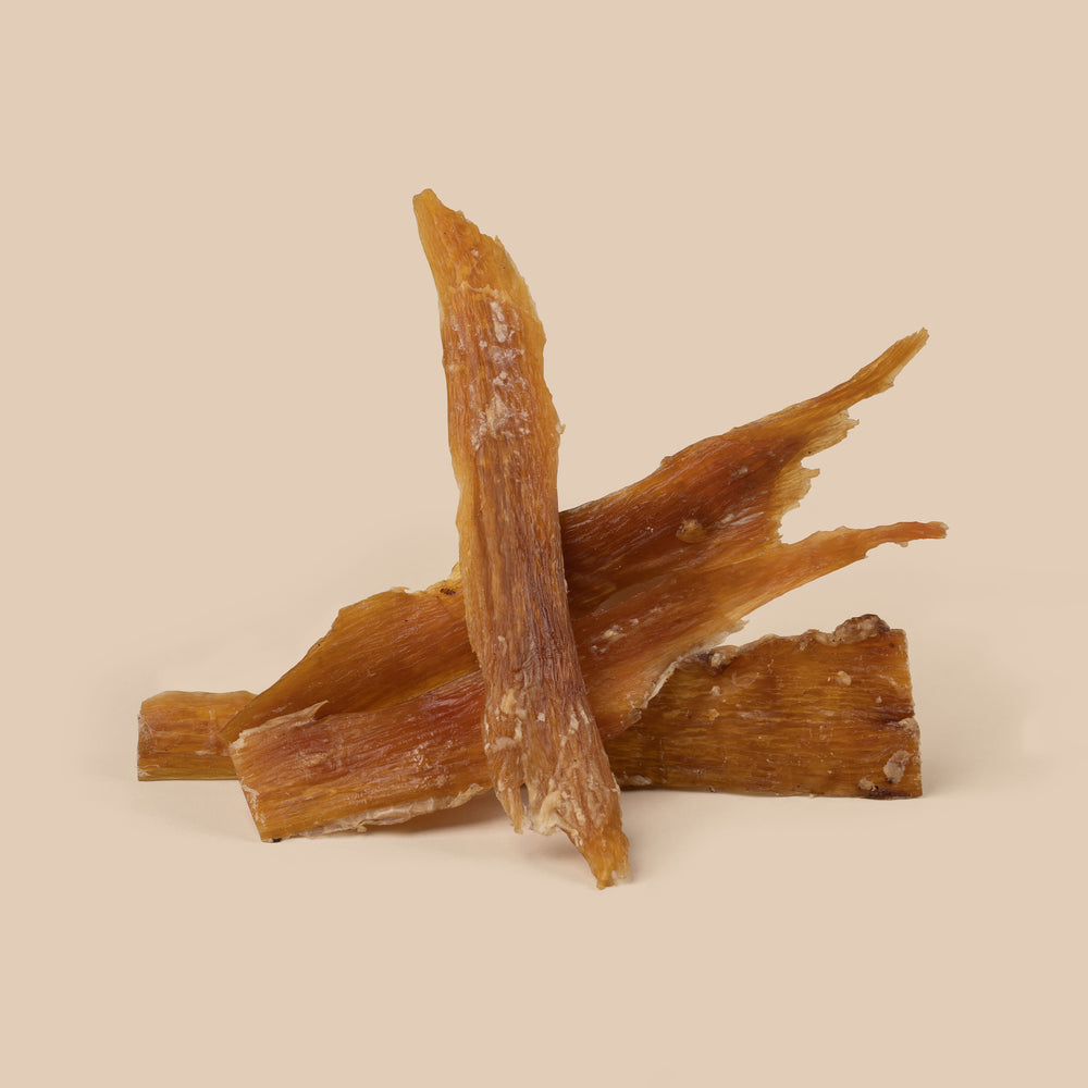 Large Beef Tendons (10 Pack)