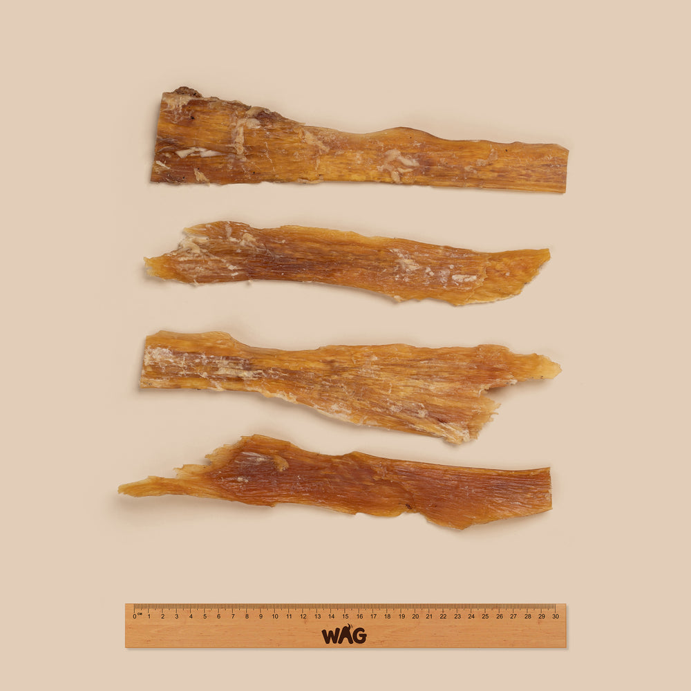 Large Beef Tendons (10 Pack)