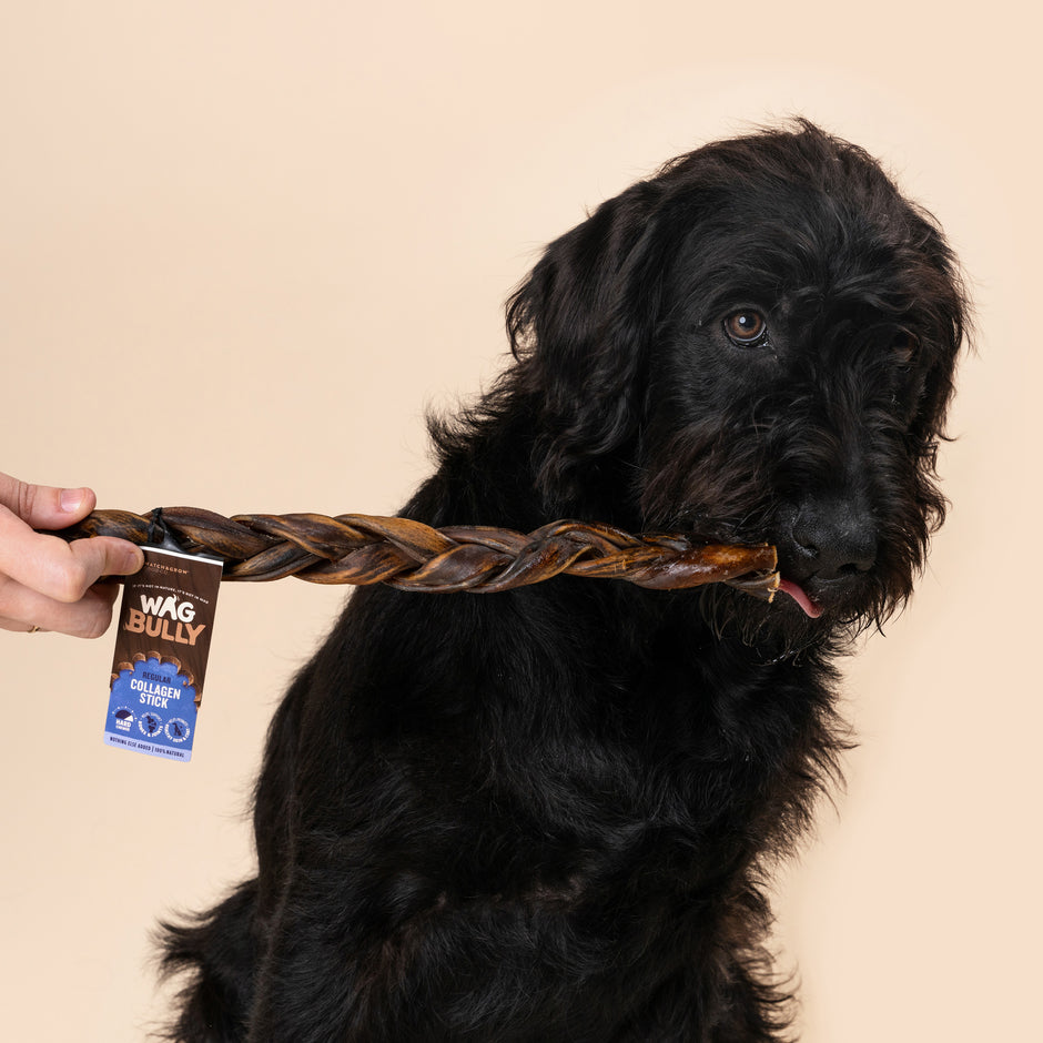 Collagen Stick Braided