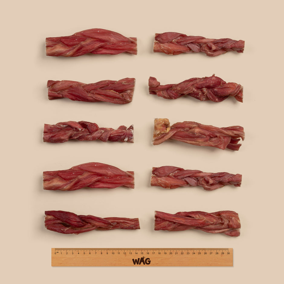 Braided Bully Festive Treats Tube