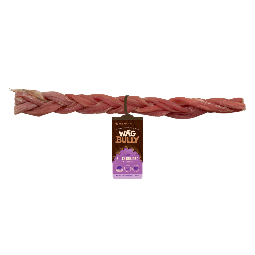 Braided Bully Stick
