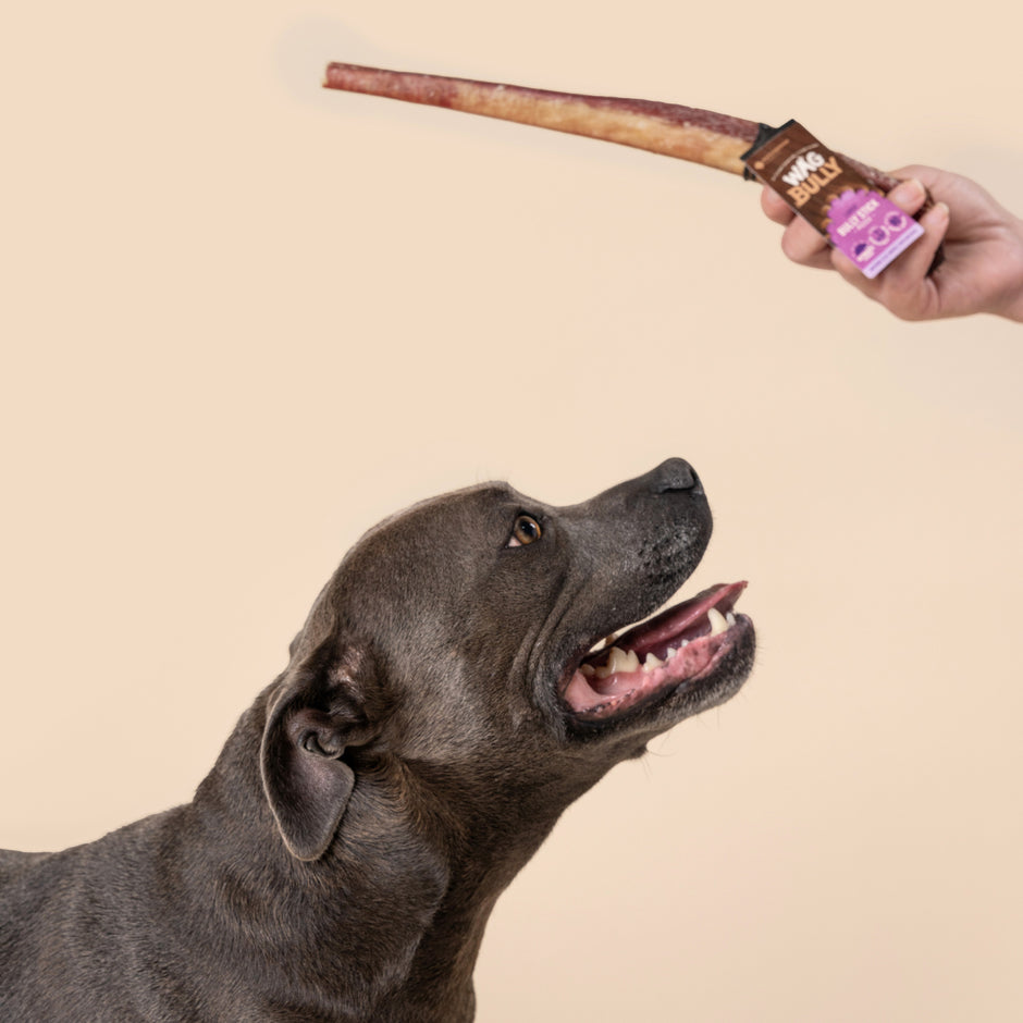 Bully Sticks