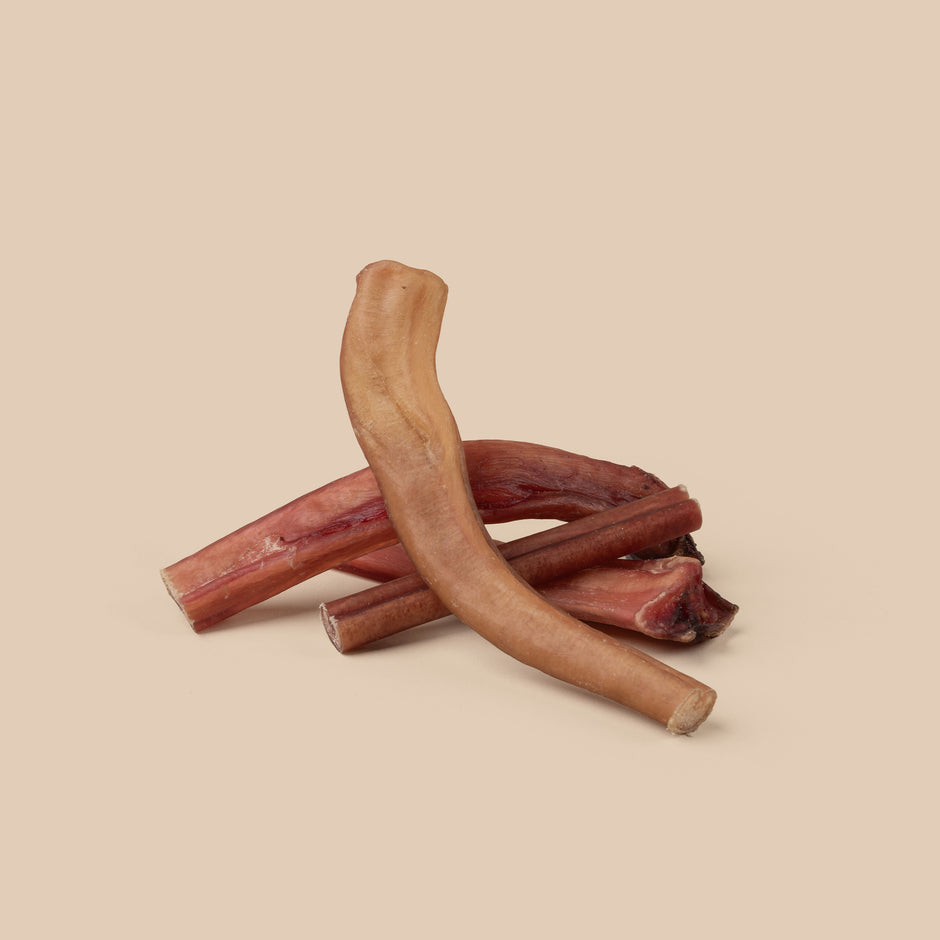 Bully Stick Regular 24 Pack