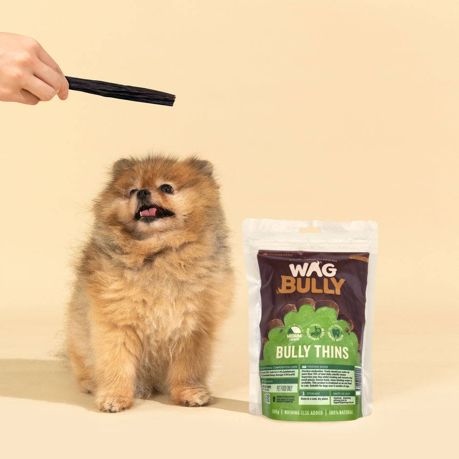 Bully Thins 300g