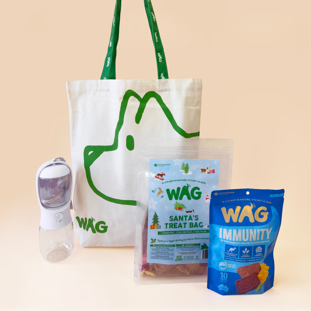 WAGmas Treats Bundle