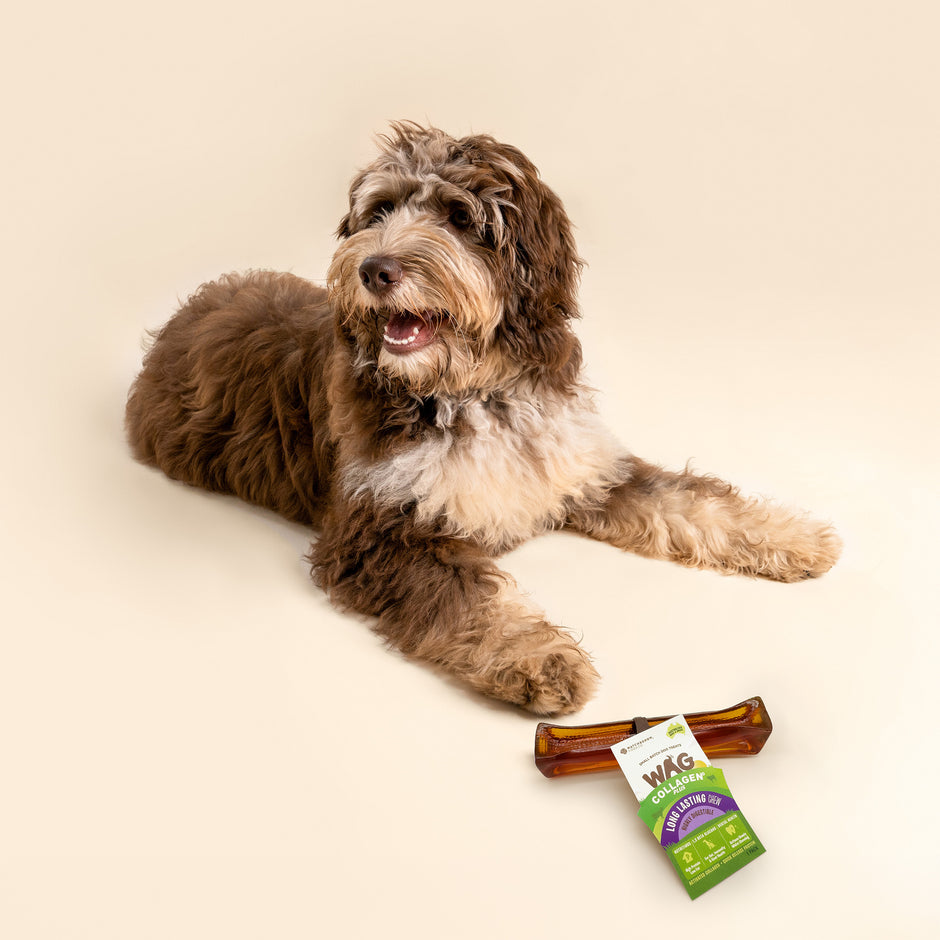 Collagen Plus Chew