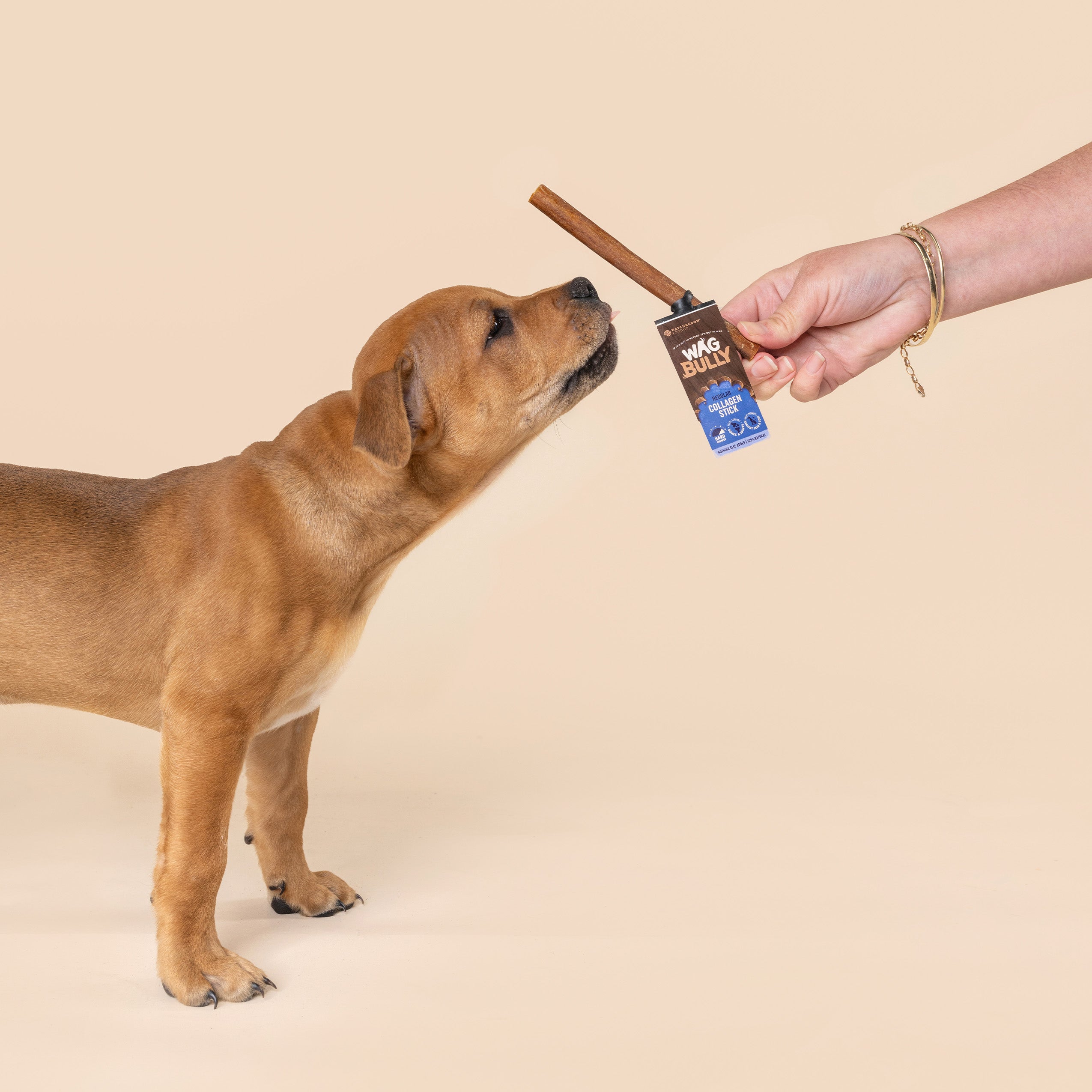 Stick Holder My Dog Ate A Whole Bully Stick Collagen Sticks