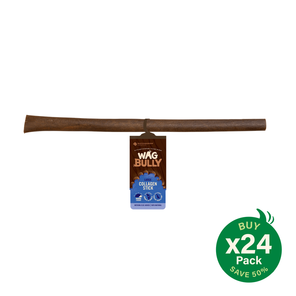 Collagen Stick Large 24 Pack