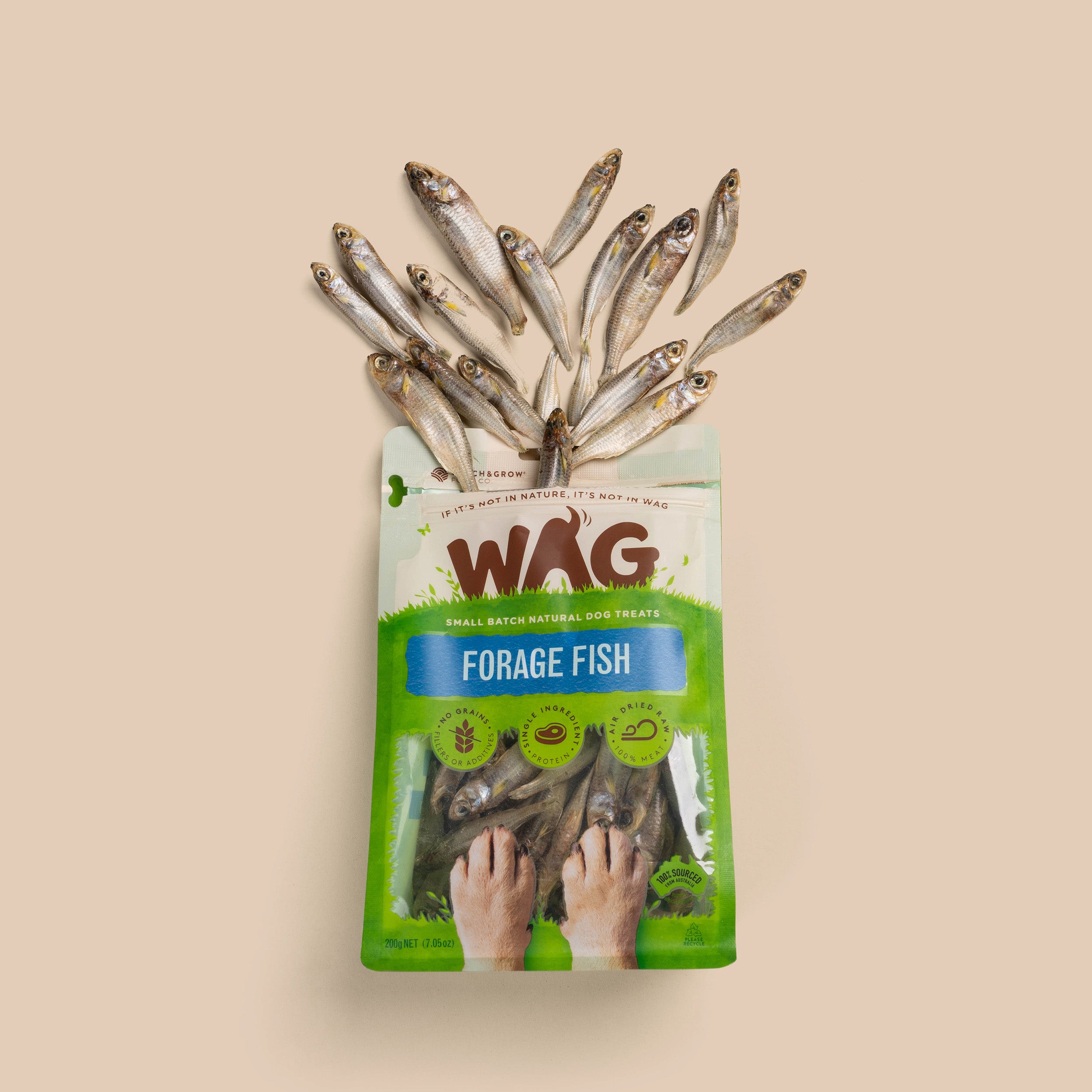 Forage Fish Treats for Dogs | WAG