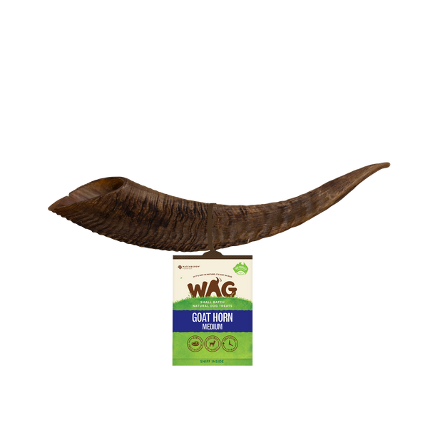 Goat Horn Dog Treats WAG Australia