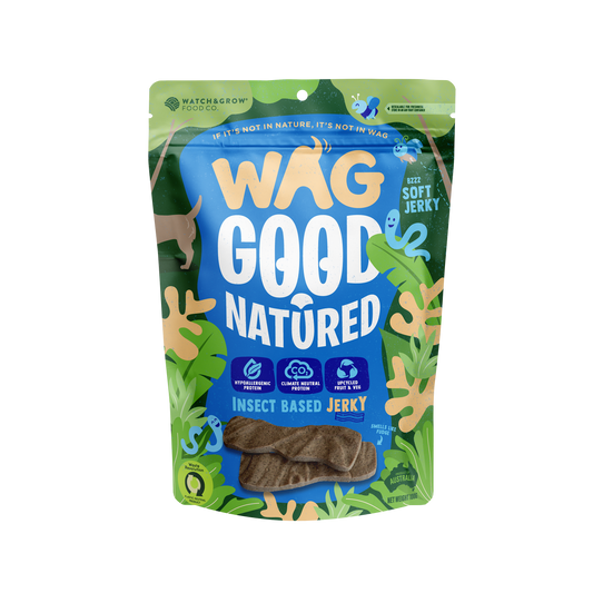 Insect Based Jerky