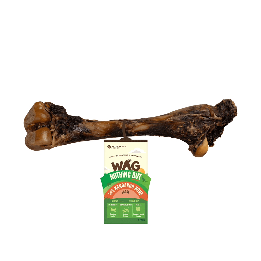 Kangaroo Large Bone