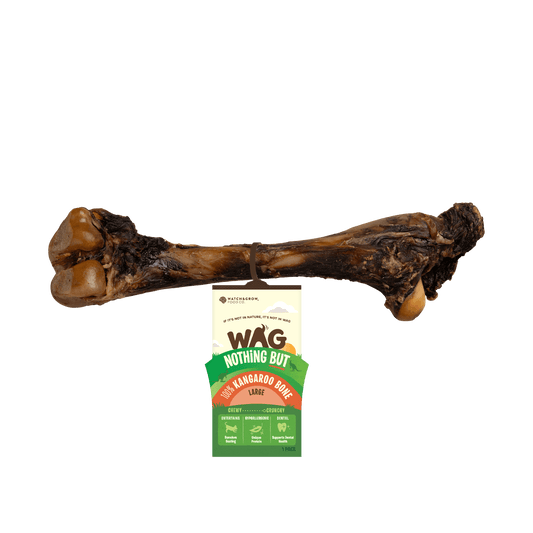 Kangaroo Large Bone