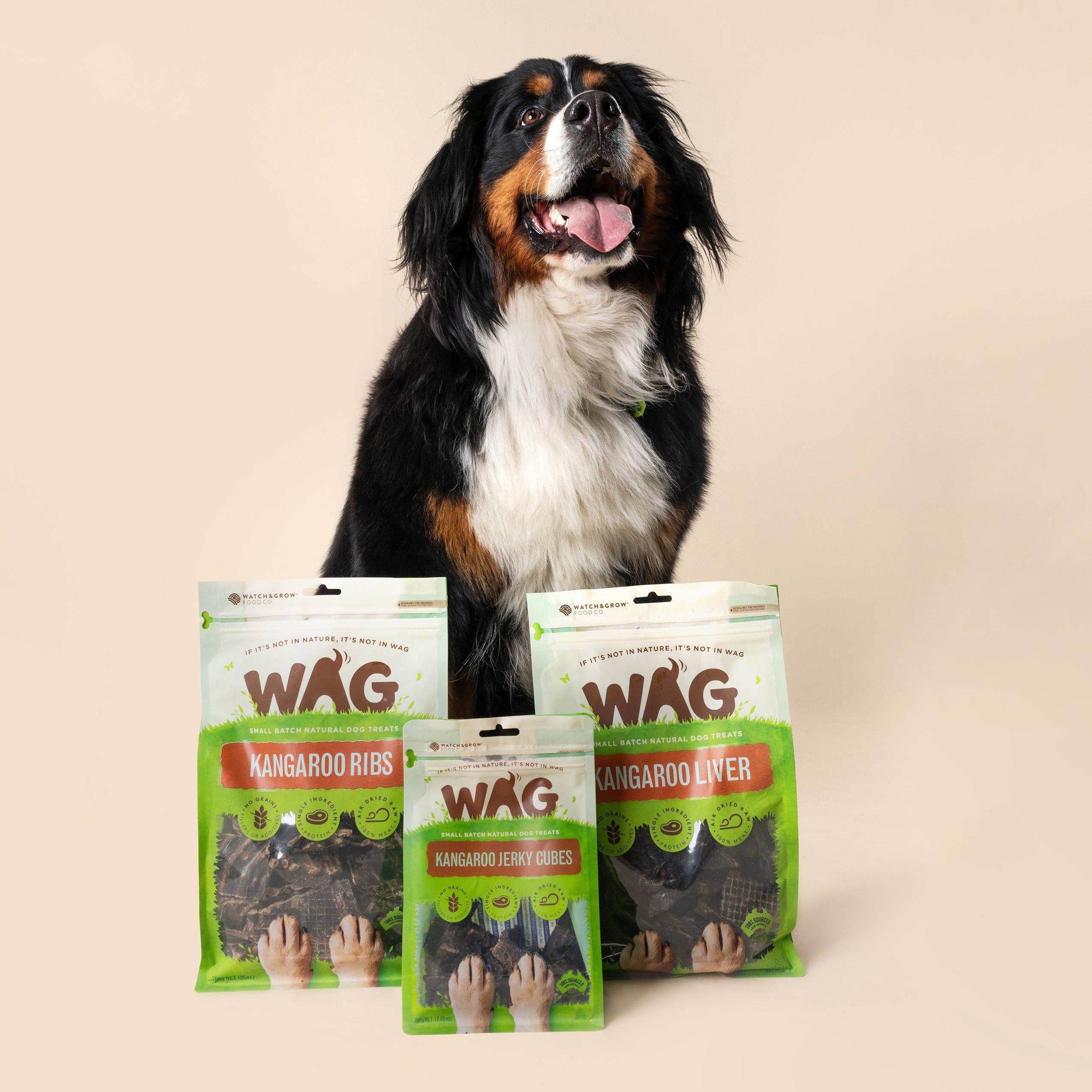 Kangaroo Ribs Dog Treats | WAG