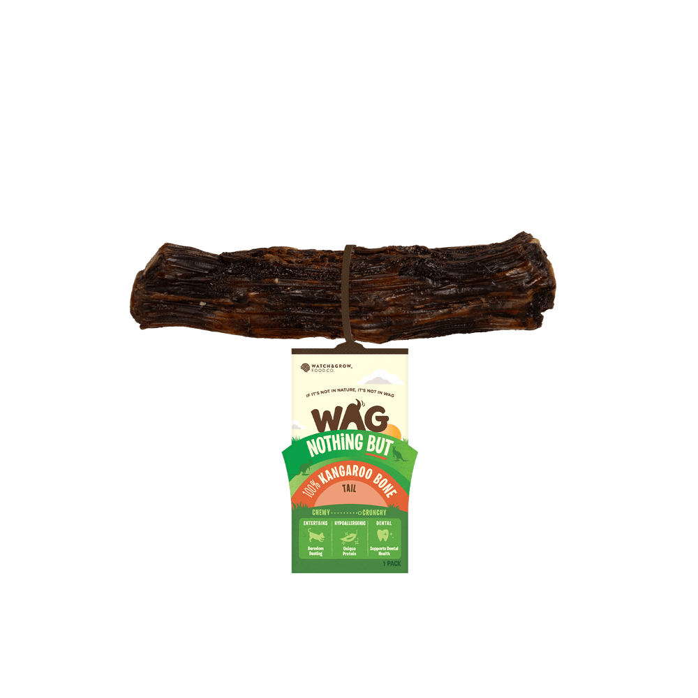 Kangaroo Tail Bone