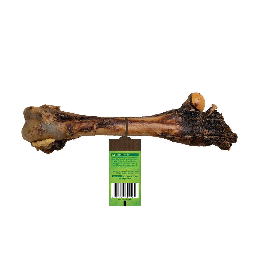 Kangaroo Large Bone