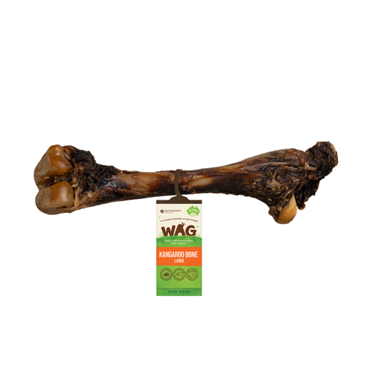 Kangaroo Large Bone