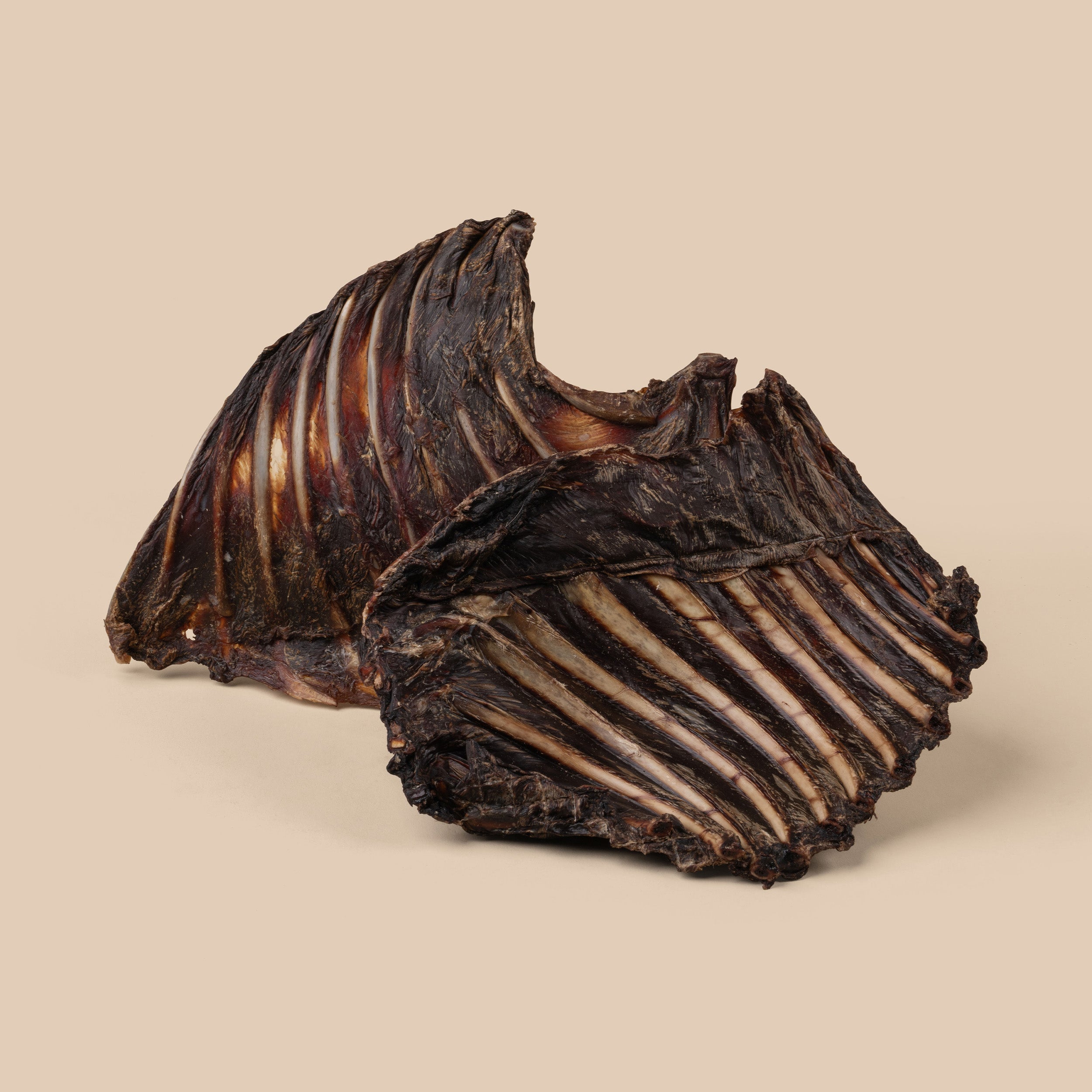 Kangaroo Rib Rack – Dog Treats | WAG