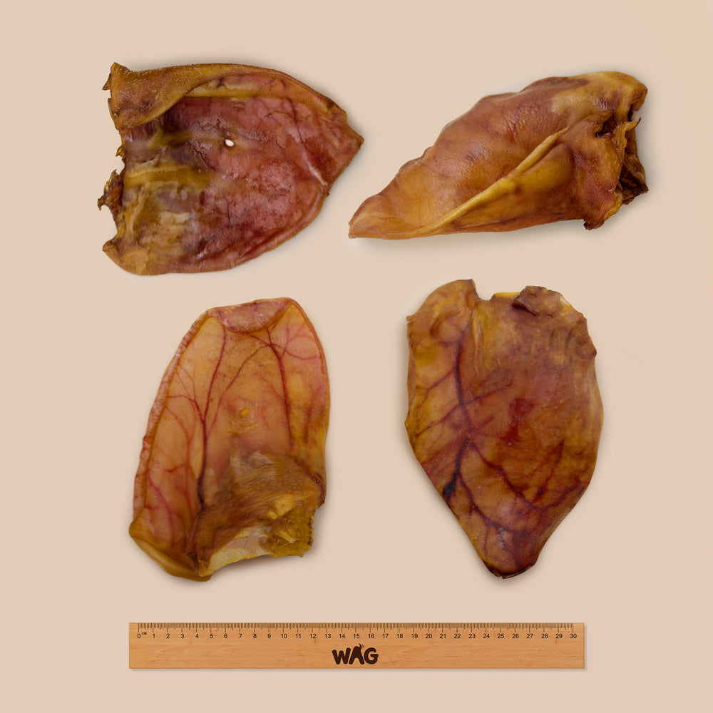 Pig Ears Extra Large 4PK