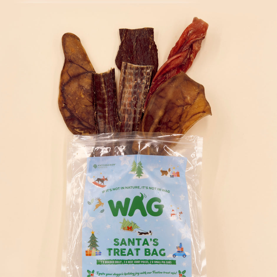 Santa's Treat Bag