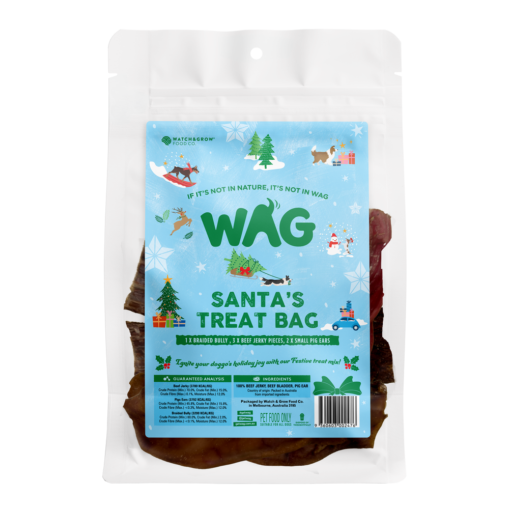 Santa's Treat Bag