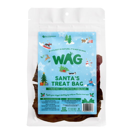 Santa's Treat Bag