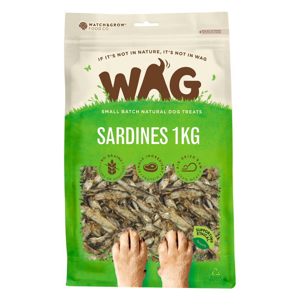 Sardines 1kg