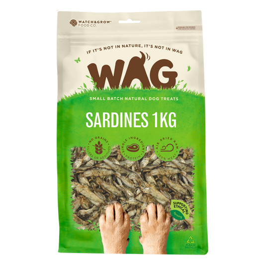 Sardines 1kg