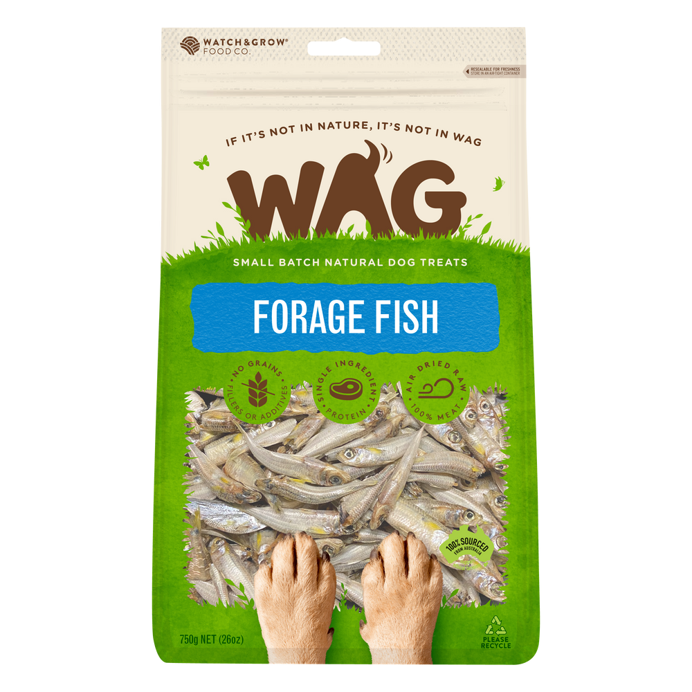 Forage Fish