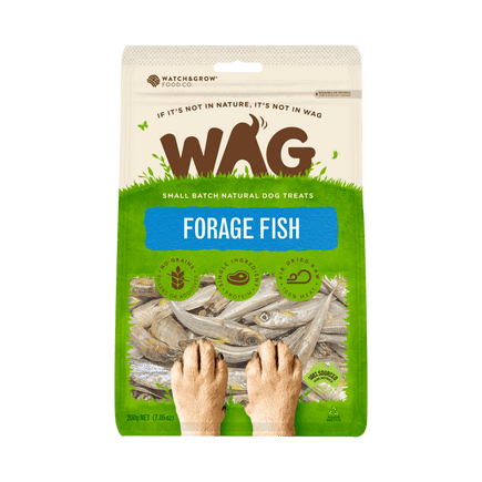 Forage Fish