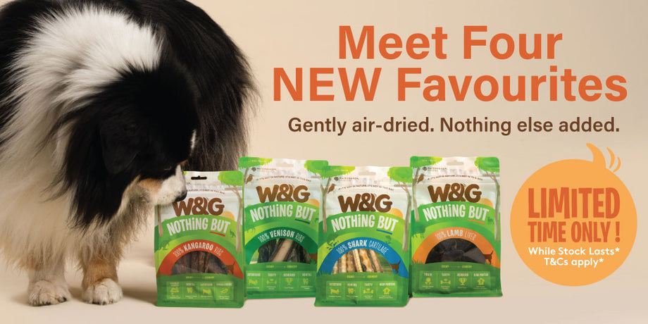 WAG limited edition dog treats collection