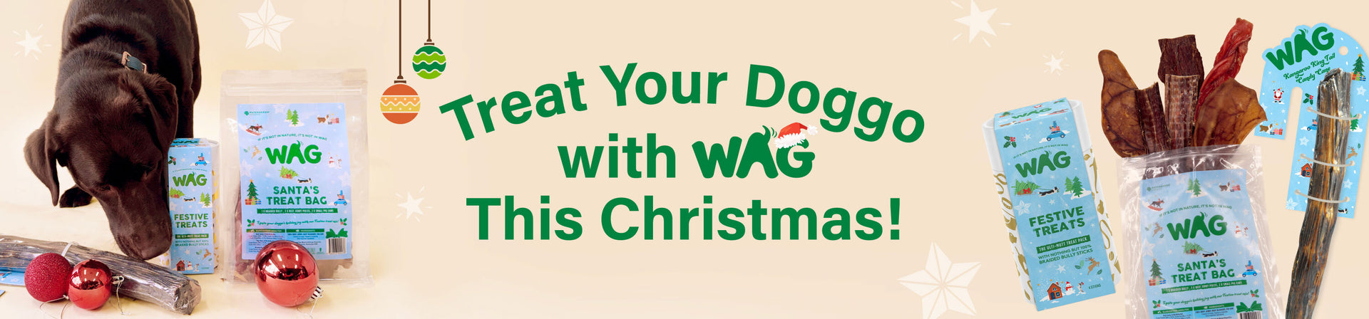 Christmas Dog Treats