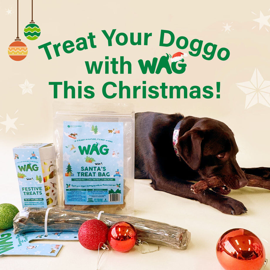 Christmas Dog Treats