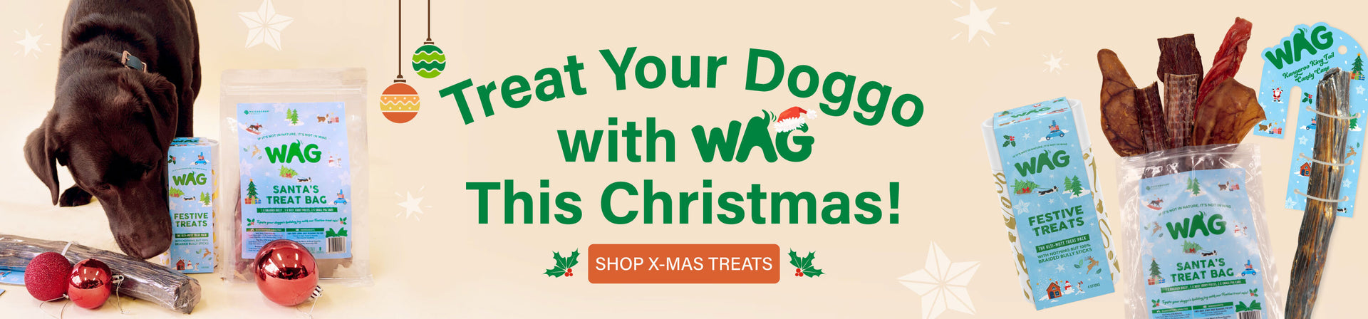 Christmas Dog Treats