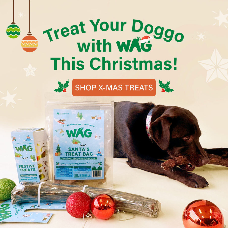 Christmas Dog Treats