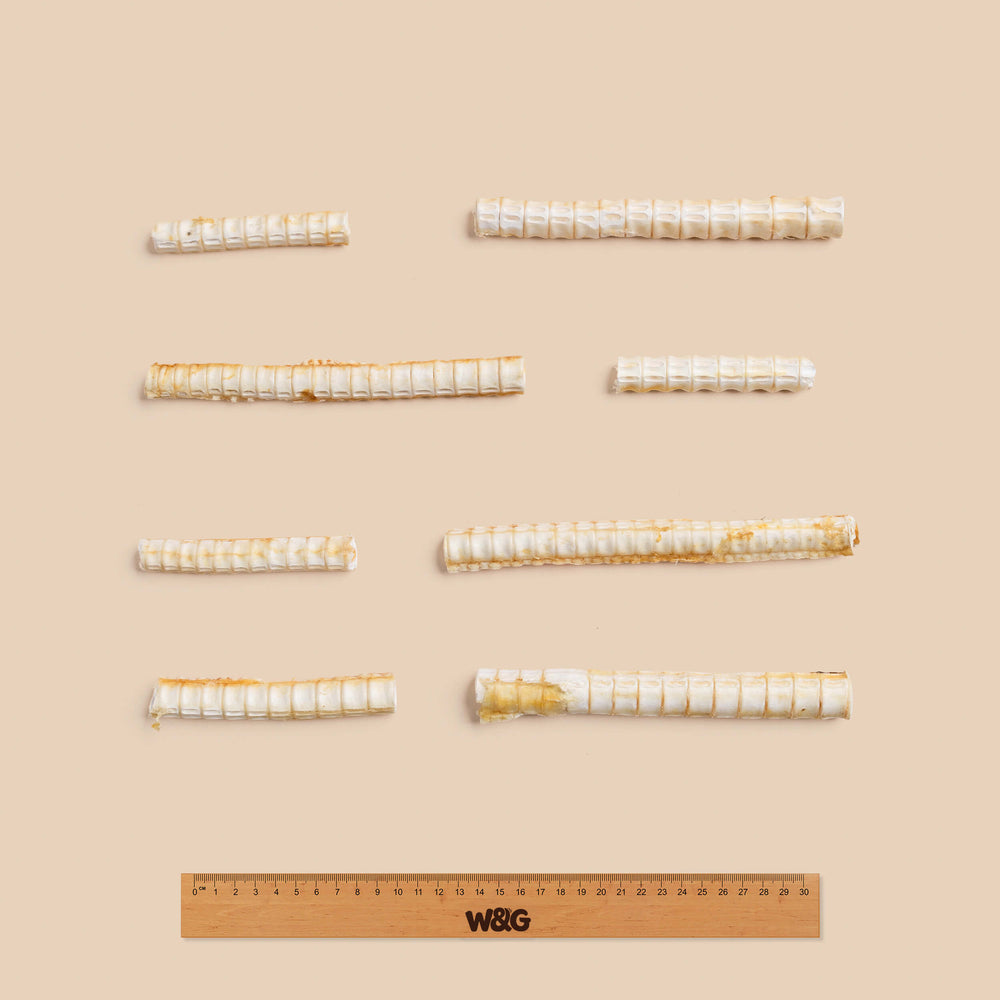 Shark Cartilage 115g