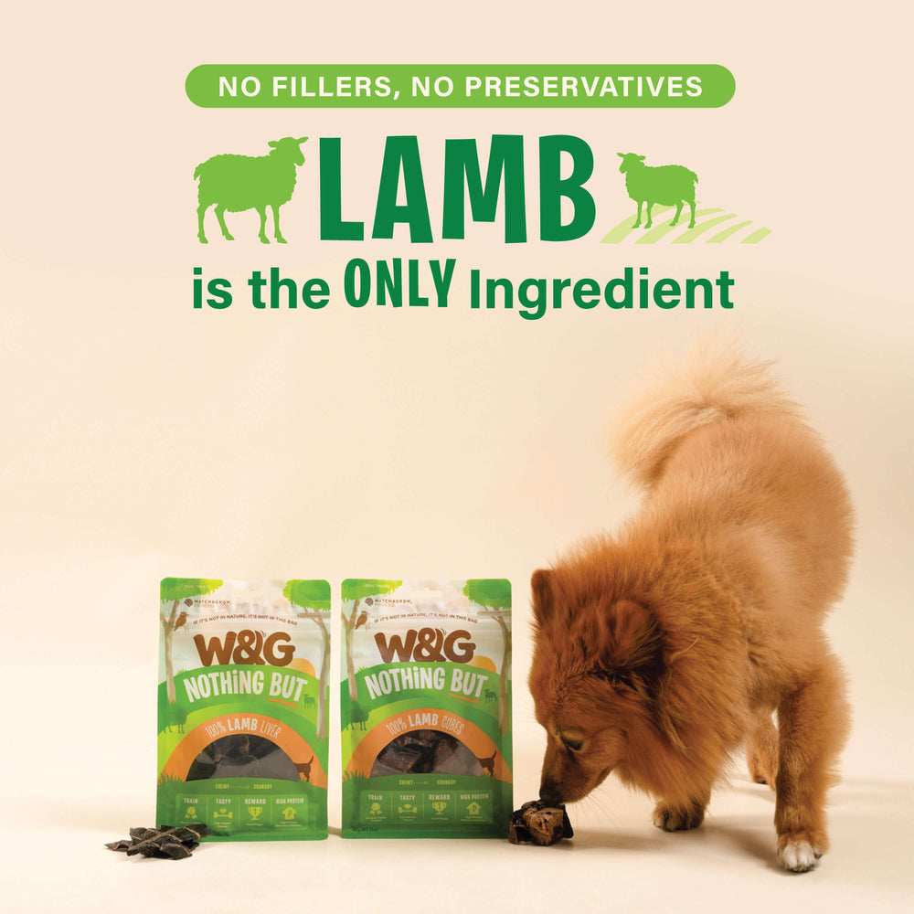 Lamb Liver