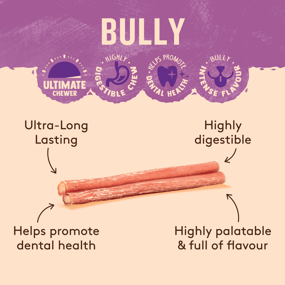 Bully Sticks