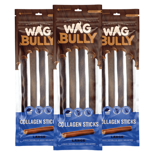 Collagen Sticks
