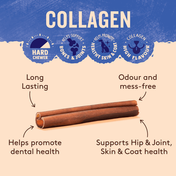 Collagen Sticks